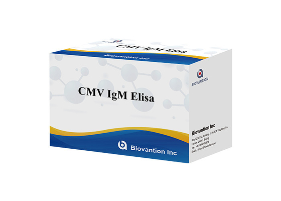 CMV IgG Elisa Test Kit ELISA Diagnostic Kit IgG kháng thể chống lại cytomegalovirus