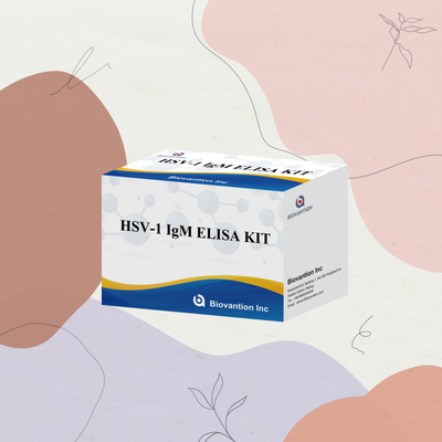HSV-1 IgM Chẩn đoán y tế Elisa Test Kit với thời hạn sử dụng 18 tháng