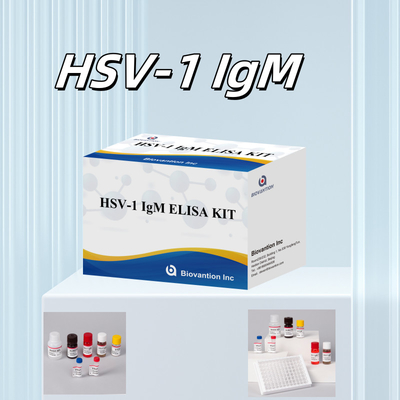 HSV-1 IgM Chẩn đoán y tế Elisa Test Kit với thời hạn sử dụng 18 tháng