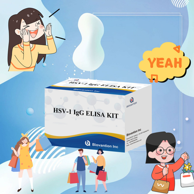 Bộ thử nghiệm miễn dịch HSV-1 IgG nhạy cao để phát hiện huyết thanh Loại mẫu plasma