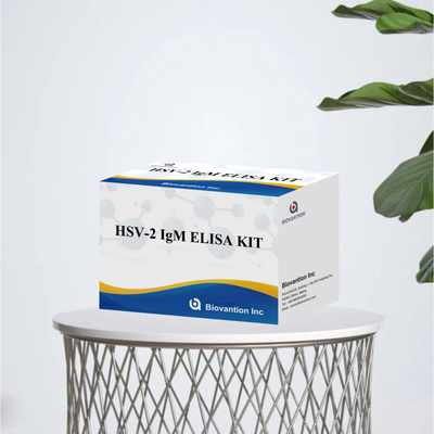 Bộ thử nghiệm Elisa đặc tính cao HSV-2 IgM cho kết quả nhanh và chính xác