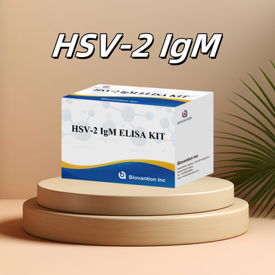 Bộ thử nghiệm Elisa đặc tính cao HSV-2 IgM cho kết quả nhanh và chính xác