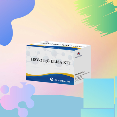 Chất phản ứng chẩn đoán HSV-2 IgG áp dụng trên toàn thế giới 96 Thử nghiệm ELISA Assay Kit cho Chẩn đoán Y tế