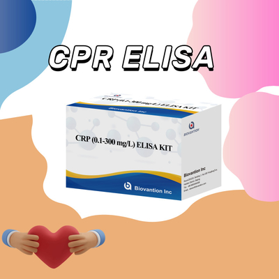 Biovantion Sensitivity CRP Elisa Test Kit ổn định ở 2-8.C Đặc biệt cho kết quả chính xác