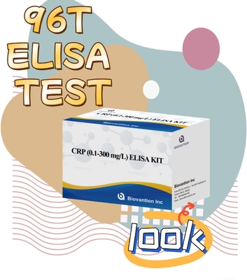 Biovantion Sensitivity CRP Elisa Test Kit ổn định ở 2-8.C Đặc biệt cho kết quả chính xác