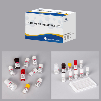 Biovantion Sensitivity CRP Elisa Test Kit ổn định ở 2-8.C Đặc biệt cho kết quả chính xác
