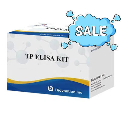 TP (Treponema Pallidum) Ab ELISA Test Kit Bệnh giang mai SYP Enzyme-Linked Immunosorbent
