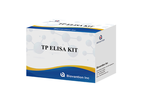 TP (Treponema Pallidum) Ab ELISA Test Kit Bệnh giang mai SYP Enzyme-Linked Immunosorbent