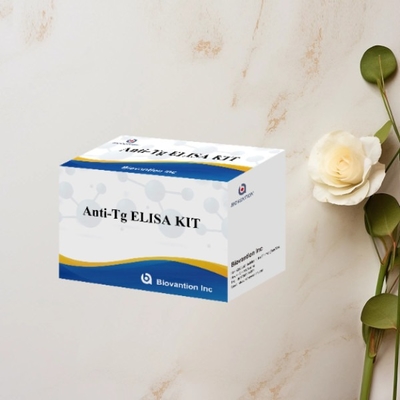 Anti-Tg ELISA Test Kit Thyroglobulin Ab In Vitro Định lượng