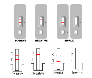 Bộ thử nghiệm nhanh GAS cao độ chính xác Groud A Stretococcal Antigen 50 Thử nghiệm đọc nhanh