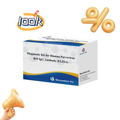 Sản xuất trực tiếp B19 ELISA Kit cho Parvovirus B19 IgM của con người Elisa Test Kit với 96T