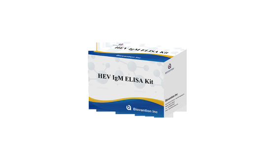 Phòng thí nghiệm hoặc bệnh viện kháng thể IgG để viêm gan E Virus HEV Elisa Test Kit
