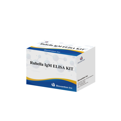 Elisa Test Kit For Rubella Công cụ phát hiện IgM cho kháng thể Rubella IgG trong sử dụng ở người