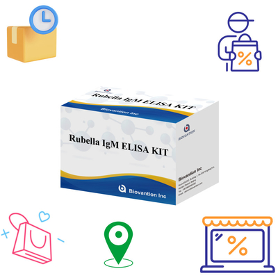 Elisa Test Kit For Rubella Công cụ phát hiện IgM cho kháng thể Rubella IgG trong sử dụng ở người
