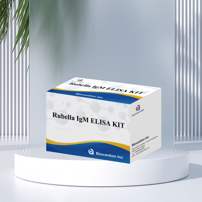 Elisa Test Kit For Rubella Công cụ phát hiện IgM cho kháng thể Rubella IgG trong sử dụng ở người