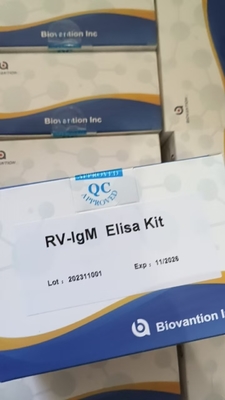 Độ nhạy của RV-M Elisa nhanh 2-3 giờ thời gian xét nghiệm cho kết quả chính xác