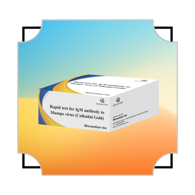 Kiểm tra nhanh chóng và chính xác vàng colloidal kháng thể IgM nhanh chống lại virus bệnh sưng trong định dạng băng cassette / dải cho kết quả