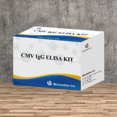 Phòng thí nghiệm hoặc bệnh viện High Accuracy CMV IgG Elisa Test Kit
