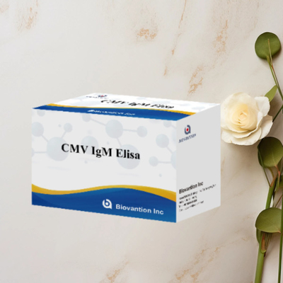 CMV IgM ELISA Kit Chẩn đoán cao cho phụ nữ mang thai