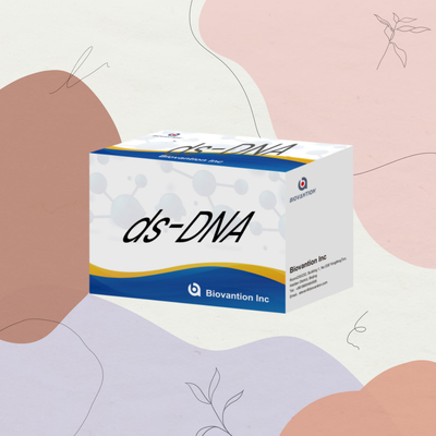 Chẩn đoán của con người Chất phản ứng kháng thể IgG đến DNA hai chuỗi Ds-DNA xét nghiệm IVD Thử nghiệm nhanh với 96 xét nghiệm cho sử dụng bệnh viện