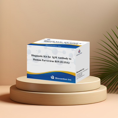 Bộ dụng cụ chẩn đoán sử dụng ở người cho parvovirus B19 IgM kháng thể Elisa Test Kit với 96T