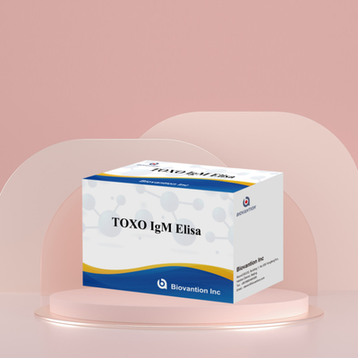 TOXO IgM Elisa Kit Cho Con Người Sử Dụng Thiết bị Kiểm Tra Chẩn đoán với 96 Kit