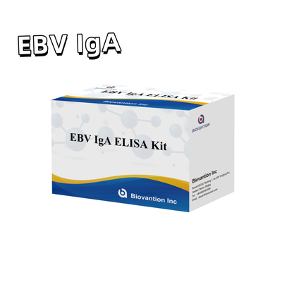 EBV HUMAN ELISA Test Kit 2-8°C Bộ chẩn đoán nhạy cảm cho kháng thể IgA đối với EBV-EA