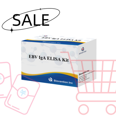 EBV HUMAN ELISA Test Kit 2-8°C Bộ chẩn đoán nhạy cảm cho kháng thể IgA đối với EBV-EA