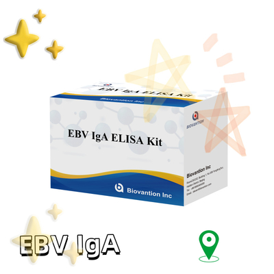 EBV HUMAN ELISA Test Kit 2-8°C Bộ chẩn đoán nhạy cảm cho kháng thể IgA đối với EBV-EA