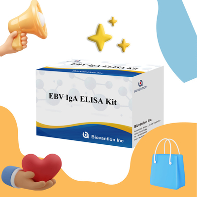 EBV HUMAN ELISA Test Kit 2-8°C Bộ chẩn đoán nhạy cảm cho kháng thể IgA đối với EBV-EA
