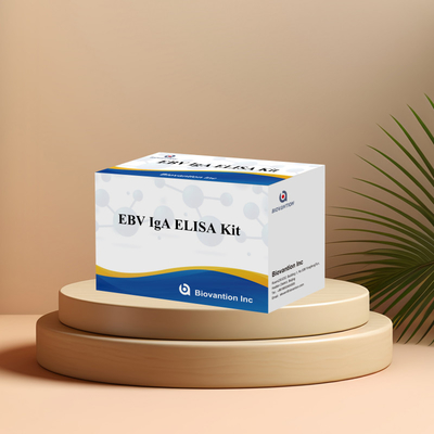 EBV HUMAN ELISA Test Kit 2-8°C Bộ chẩn đoán nhạy cảm cho kháng thể IgA đối với EBV-EA