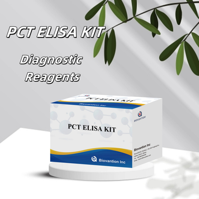 PCT chính xác cao cho phương pháp ELISA đối tượng phát hiện ở người với thử nghiệm 96 cho bệnh viện