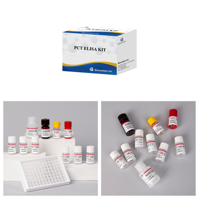 PCT chính xác cao cho phương pháp ELISA đối tượng phát hiện ở người với thử nghiệm 96 cho bệnh viện