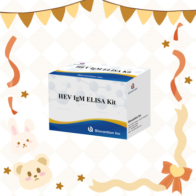 Bộ thử nghiệm Elisa HEV-IgM chính xác và nhạy cảm để phát hiện và phân tích chính xác