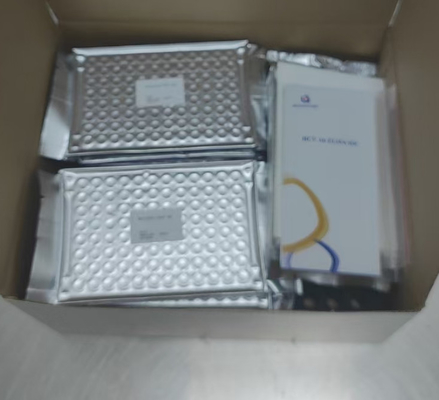 Kháng thể kháng HCV đối với virus viêm gan C liên quan đến enzyme Thời gian vận chuyển ngắn