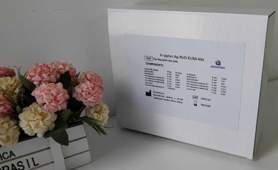 Phòng thí nghiệm hoặc bệnh viện High Accuracy H.Pylori IgG Elisa Test Kit