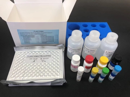 Helicobacter HP kháng thể IgG ELISA Kit H.Pylori IgG
