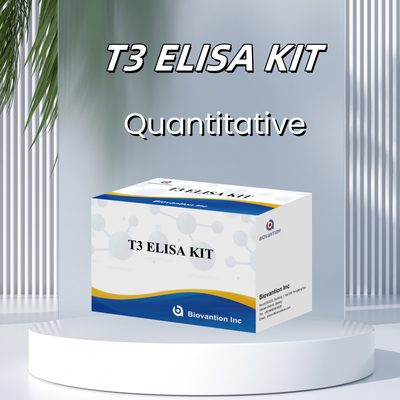 Bộ thử nghiệm Elisa nhạy cảm và cụ thể cao để phát hiện định lượng T3 trong huyết thanh người với thời gian phân tích ngắn