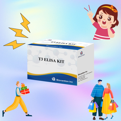 Bộ thử nghiệm Elisa nhạy cảm và cụ thể cao để phát hiện định lượng T3 trong huyết thanh người với thời gian phân tích ngắn