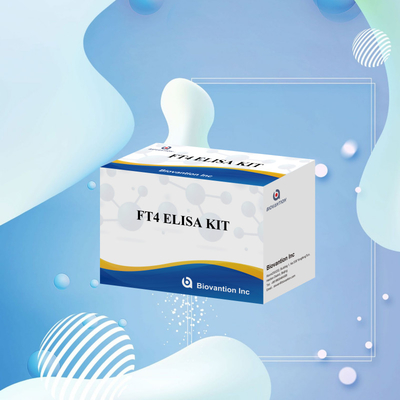 Bộ thử nghiệm Elisa FT4 chính xác cho phân tích định lượng và định chất