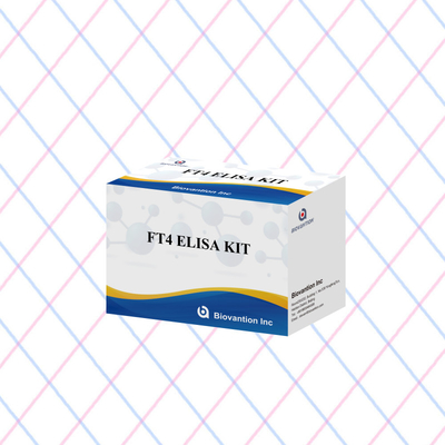 Bộ thử nghiệm Elisa FT4 chính xác cho phân tích định lượng và định chất
