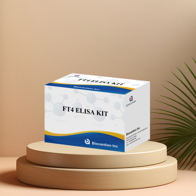 Bộ thử nghiệm Elisa FT4 chính xác cho phân tích định lượng và định chất