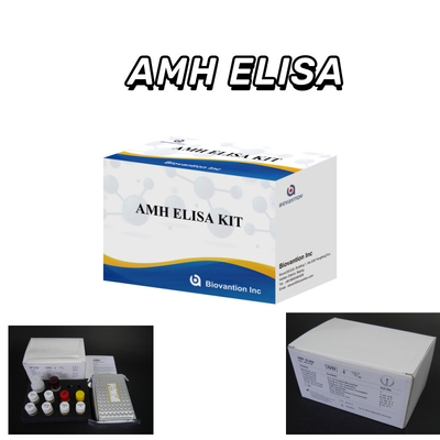 Bộ thử nghiệm Elisa AMH tiên tiến để phát hiện và đo chính xác và phân tích