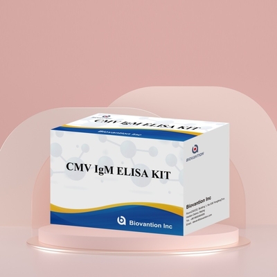 Biovantion High-Sensitivity CMV ELISA Reagent Kit để phát hiện kháng thể virut cytomegalovirus