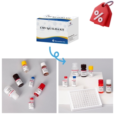 Biovantion High-Sensitivity CMV ELISA Reagent Kit để phát hiện kháng thể virut cytomegalovirus