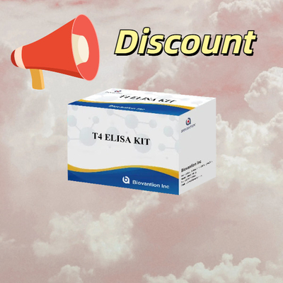 T4 Triiodothyronine Elisa Test Kit Thử nghiệm hormone tuyến giáp thường sử dụng