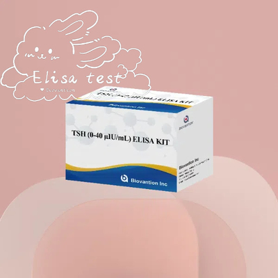 TSH Elisa chất phản ứng Thiết lập định lượng bộ huyết thanh kích thích tuyến giáp