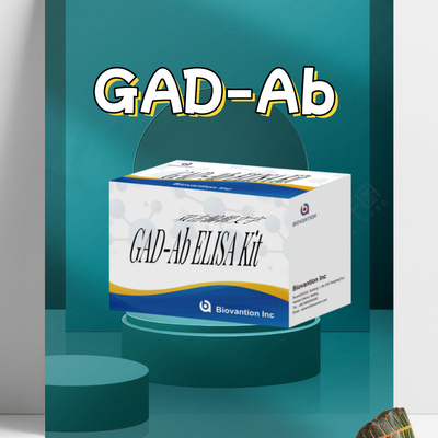 Bộ thử nghiệm Elisa nhạy cảm GAD để phát hiện chính xác các dấu hiệu tim mạch