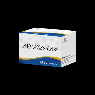 Độc lý, thân thiện với người dùng Insulin INS 96 Test Ivd Reagents For Diagnostic