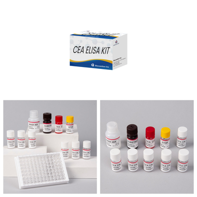 Bộ thử nghiệm Elisa định lượng CEA chính xác cho phân tích định lượng và định chất của các mục tiêu
